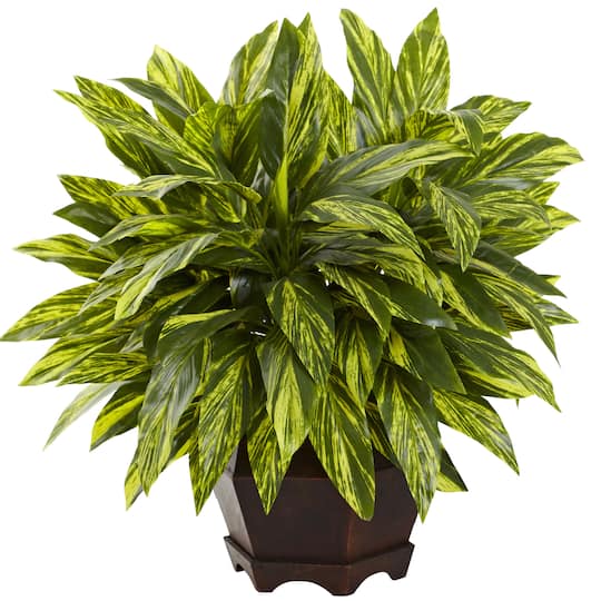 19.5" Spiderwort Plant with Hexagon Planter